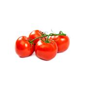 TOMATE GRAPPE AUkg (HOLLANDE)